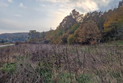 Teren 1,717mp Margineni, strada Sat podis - 6