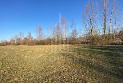 Teren agricol de 7500 mp, în Bradu - 8