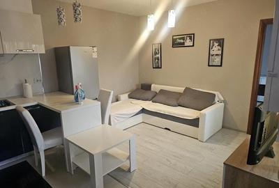 Apartament cu 2 camere semidecomandat în Mehala - 7