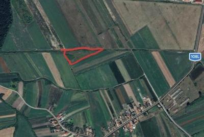 Spațiu comercial, în Dacia