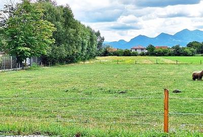 Teren Construcții intravilan de 8500 mp, în Stupini - 9