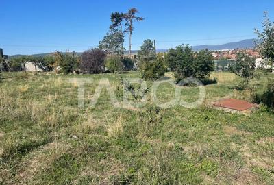 Teren intravilan de vanzare in Sebes zona Motel Dacia - 2