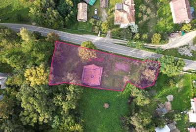 Casă cu 4 camere în Ceahlău - 7