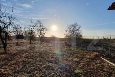 CASA RENOVATA 2025 + 800 mp - 8