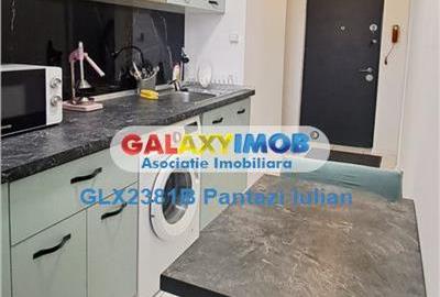 Garsonieră decomandată, mobilată în Doamna Ghica - 11