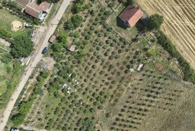 Vând loc de casă cu livadă cu suprafata de 1100 mp situat in loc. Buteni - 1