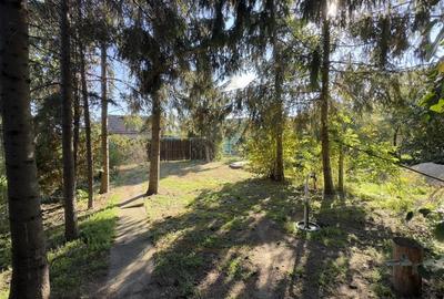 Casa de vinificatie 2 camere cu Teren 1389 mp - Gradina Viilor ,,Nyulhat,,-Carei Casa de vinificatie 2 camere cu Teren 1389 mp - Gradina Viilor ,,Nyulhat,,-Carei - 1