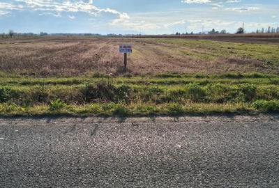 Teren de 2600 mp, în Lunca Ozunului - 2