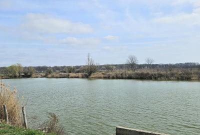 Afumati Balta Batal teren de vanzare 7000 mp - 1