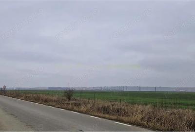 Teren 5.5 ha, de vanzare, Aricestii Rahtivani, jud Prahova - 5