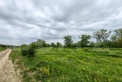 Teren intravilan, 2200 mp, Zona Abatorului - Sebes - 1