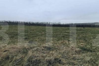 Teren de 750 mp, în Sopor