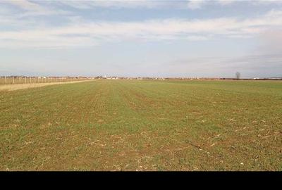 Teren de 2600 mp, în Sântion - 2