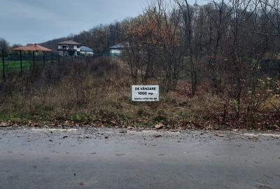 Snagov Ghermanesti - 3