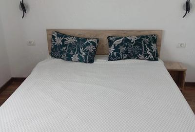 Casă cu 6 camere cu Teren 500 Mp în Băile Felix - 4