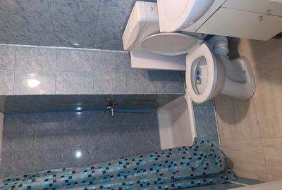 Garsoniera de vanzare sect1 Pajura - 9