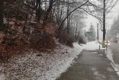 Teren de 4220 mp, în Bușteni - 1