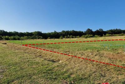 Teren de 700 mp, în Betfia - 3