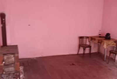 Casă cu 2 camere în Dâlja Mică - 3