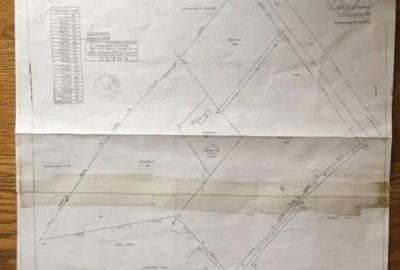 Teren de 53000 mp, în Călinești - 6