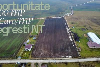 Teren 8.400 mp Negre?ti ideal gospodarie, ferma, natura ?i lini?te - 1