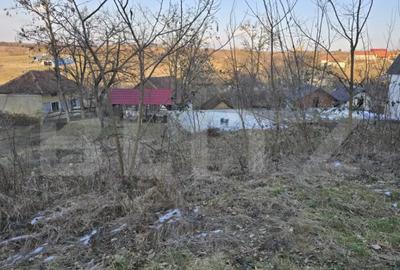 Teren de 79000 mp, în Central - 3