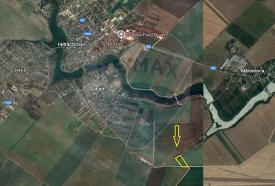 Teren agricol extravilan de 21300 mp, în Petrăchioaia - 2