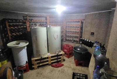 Vila boiereasca, superba, strada, linistita, nelipita de vreun alt imobil Vila boiereasca, superba, strada, linistita, nelipita de vreun alt imobil - 32