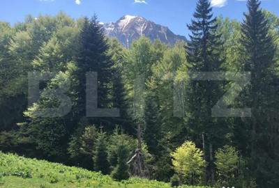 Teren de 10000 mp, în Central - 9