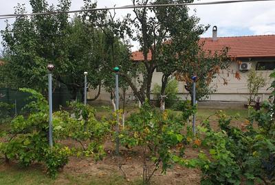 Casă cu 2 camere cu Teren 701 Mp în Central - 5