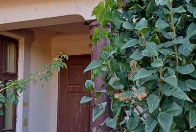 Casă cu 4 camere în Terpezița - 6