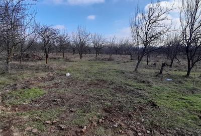 Spațiu comercial, în Cocoșești - 2