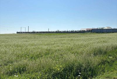 Teren de 1926 mp, în Gostilele - 1