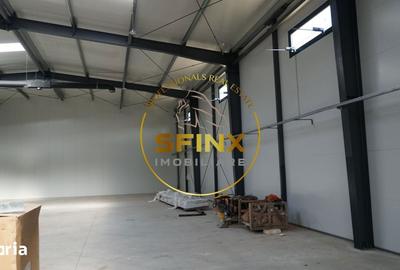 Spațiu comercial, de 323 mp, în Băneasa - 3