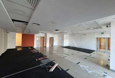 Spatiu comercial Bdul Timisoara 250mp - 2