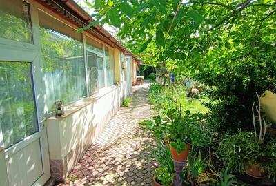 Casă cu 4 camere în Andronache - 1