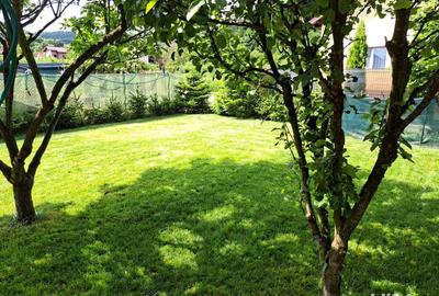 Propietate de vanzare,cu spatiu comercial 47mp, stradal dn7 pitesti Valcea,dupa hanul valea ursului! - 4