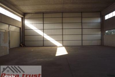 Spațiu comercial, de 430 mp, în Lugojului - 4