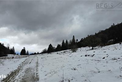 Spațiu comercial, în Poiana Brașov - 6