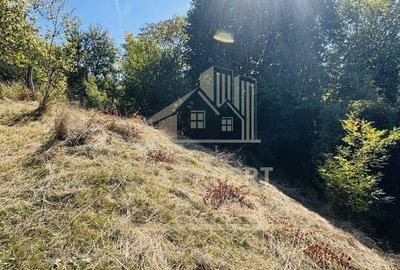 TEREN INTRAVILAN 3234 MP LERE?TI VOINE?TI ARGE? - 12