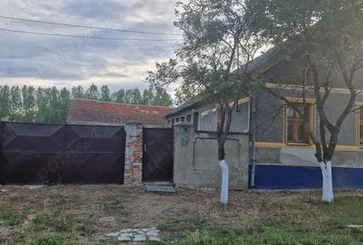 Vand casa cu gradina - 2