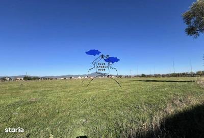 Spațiu comercial, în Cristian