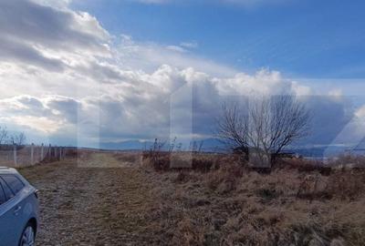 Teren de 1200 mp, în Bartolomeu - 5