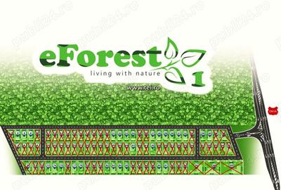 Teren premium in cartier rezidential eForest, doua paduri - 2