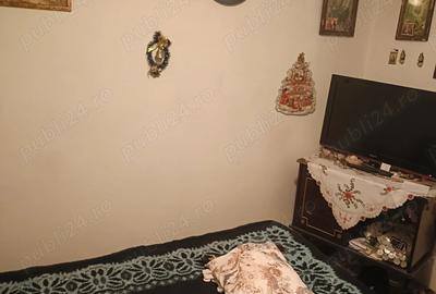 Vand casa zona Plantelor - 10