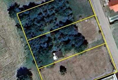 Teren Vetis, 3 parcele de 600mp , zona linistita cu strada asfaltata - 3