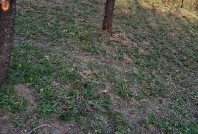 Spațiu comercial, în Central - 3