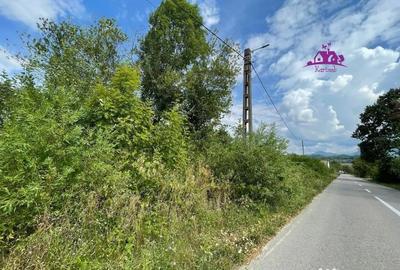 Teren de 3382 mp, în Meziad - 4