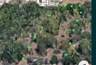 Teren intravilan 6.500 mp - ideal pentru dezvoltare rezidentiala, Iris