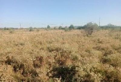 Targu Neamt, Punct Manesti, cota parte 1/2, ID: R2759107 - 4